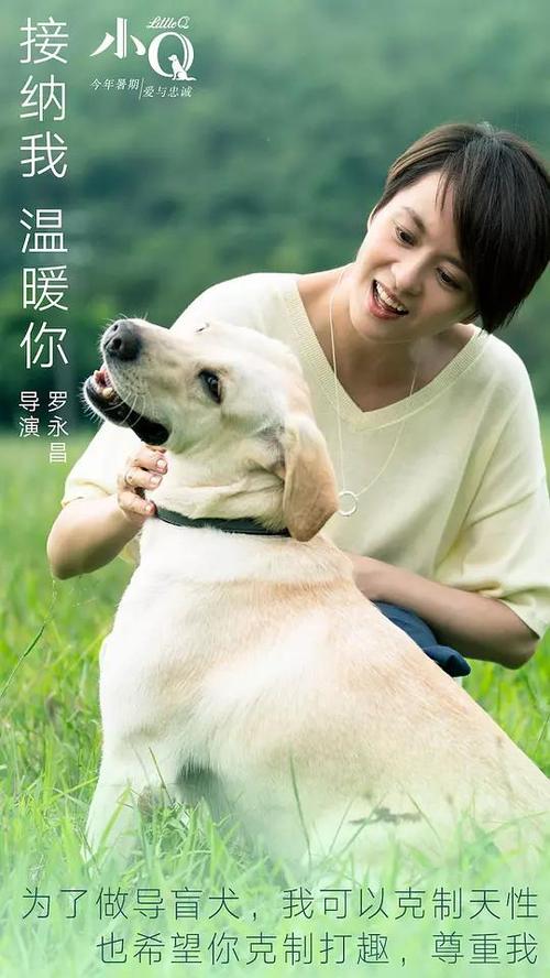 做假日本甲子園大學成绩单